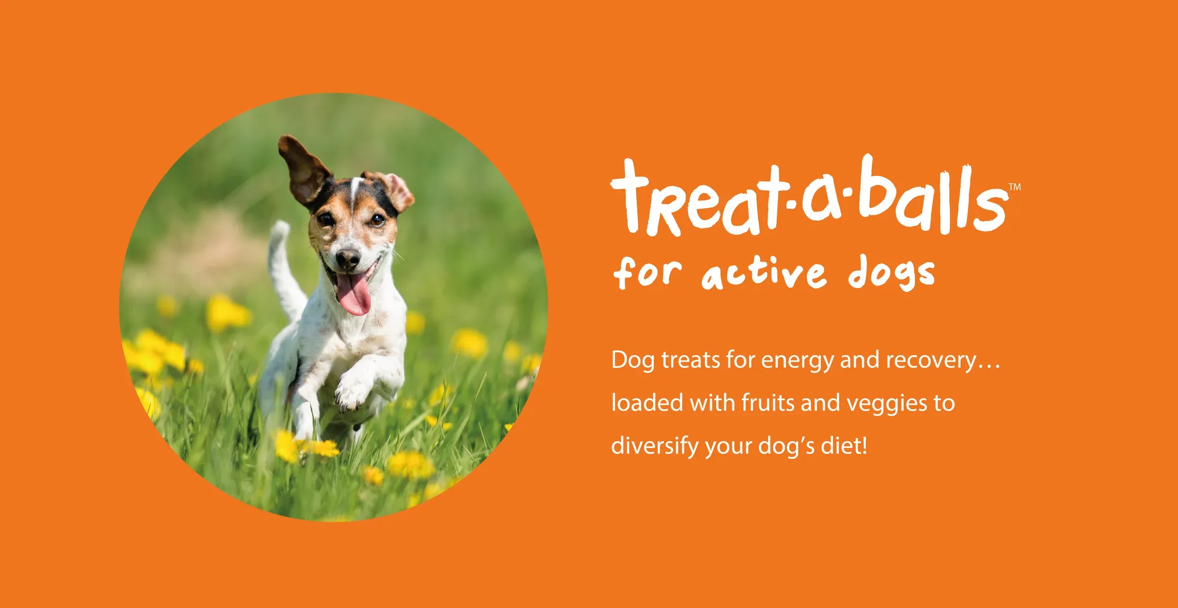 PVS005_Treat_a_Balls_Shopify_Website_ComboFinal_legacy_dave_a42aeb95-880e-4a6c-aab7-50b6e3394f46